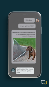 Ollie tried to jump through the window. He succeeded and destroyed the screen in the process 