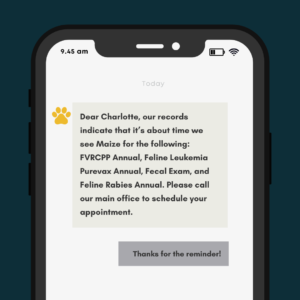 Dear Charlotte, our records indicate that it’s about time we see Maize for the following: FVRCPP Annual, Feline Leukemia Purevax Annual, Fecal Exam, and Feline Rabies Annual. Please call our main office to schedule your appointment. 